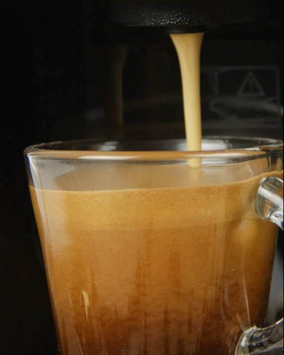 Machine à café Géant 3 En 1 _ 19 BAR-1450Watt ألة صنع القهوة 3 في 1 من الماركة Géant العالمية