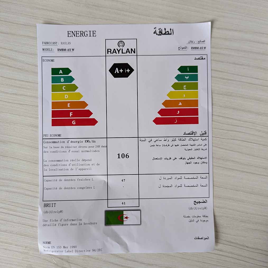 Mini Réfrigérateur RAYLAN 47L من أقوى الثلاجات في الجزائر